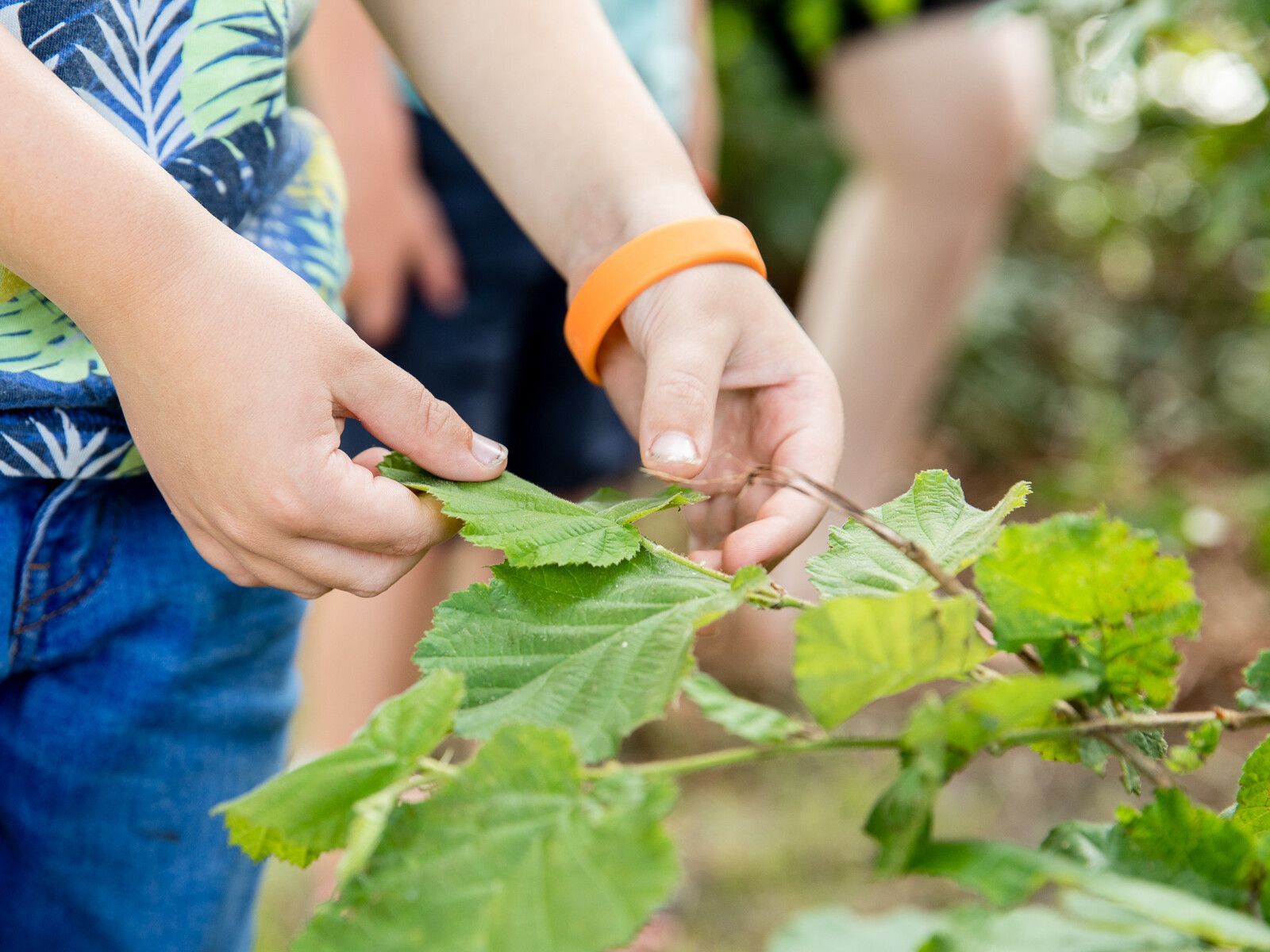Kinderopvang It Fundamint VANDAAG