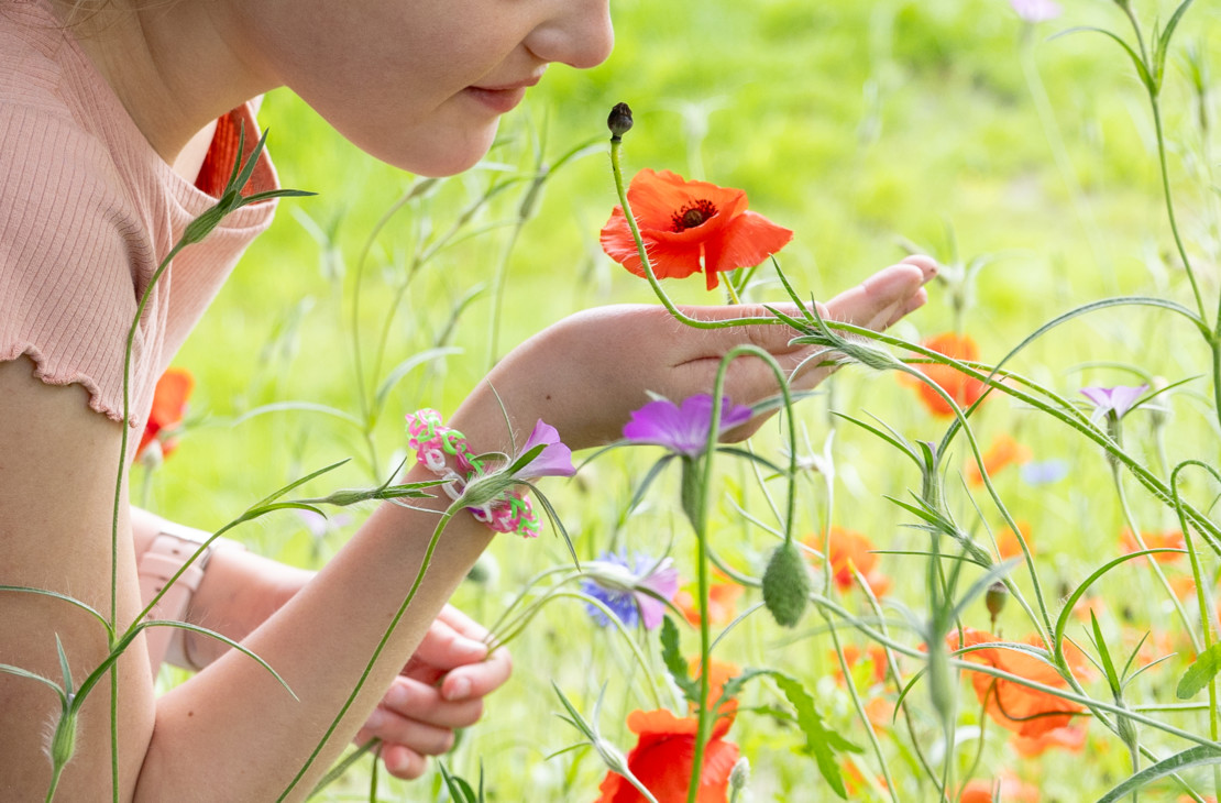 Kinderopvang Ichthus VANDAAG